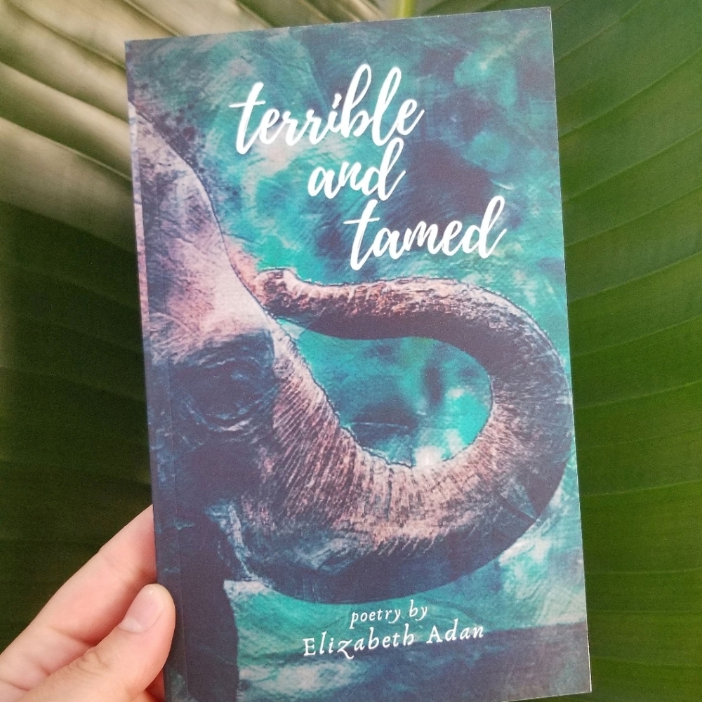 🆕️Signed Poetry Book - Terrible and Tamed, Animal Nature Poems Micro Poetry